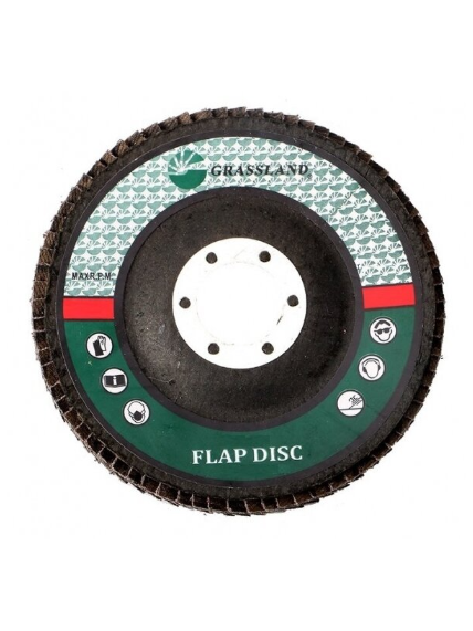 Metalo šlifavimo žiedlapinis diskas 125mm Nr.40/29